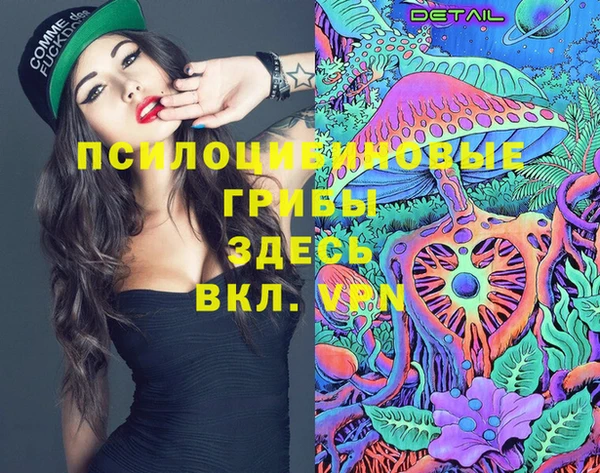 мдпв Алзамай
