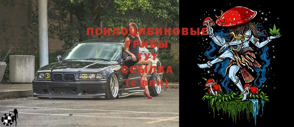 трава Абдулино