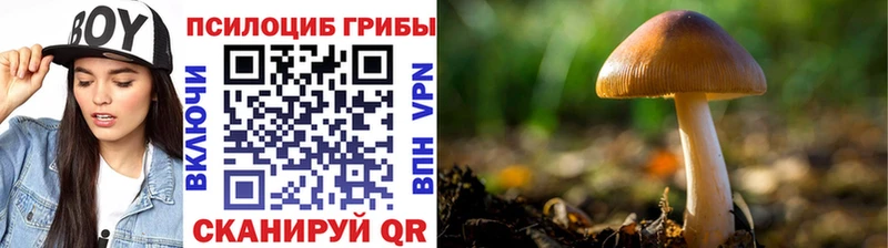 Псилоцибиновые грибы GOLDEN TEACHER Керчь