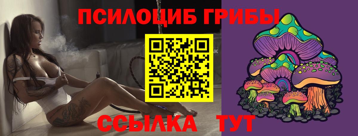 купить наркотик  Вход с VPN  Керчь  Псилоцибиновые грибы MAGIC MUSHROOMS 