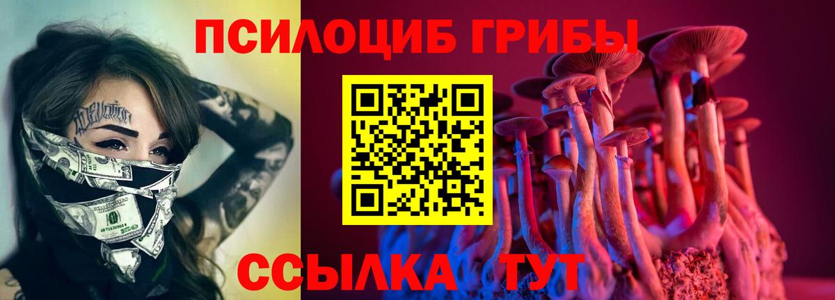 Псилоцибиновые грибы MAGIC MUSHROOMS Керчь